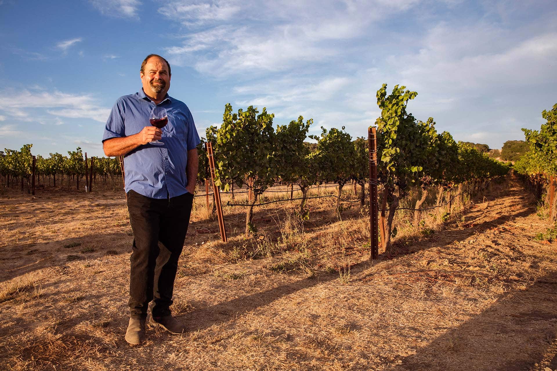 A man in a blue shirt and black pants stands in a vineyard, holding a glass of red wine. The vineyard stretches out behind him under a slightly cloudy sky. The ground is dry and sunlit, and the grapevines are supported by wooden stakes and wires. The man appears relaxed and content.
