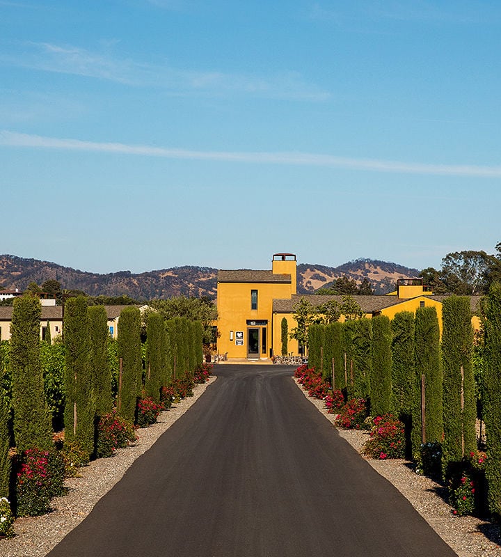 An asphalt road lined with tall, manicured cypress trees and vibrant blooming flowers leads to a mustard-yellow building with a tower feature. The building is set against a backdrop of rolling hills under a clear blue sky. The setting suggests a warm, serene countryside ambiance.
