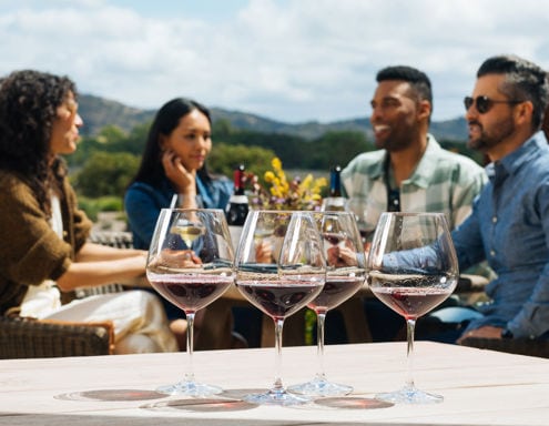 Four friends sit at a sunny outdoor table with bottles of wine and flowers, chatting and smiling. In the foreground, four wine glasses containing red wine are lined up on the table. The background features green hills and a partly cloudy sky, indicating a pleasant day outside.
